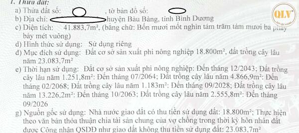 CHO THUÊ / BÁN NHÀ XƯỞNG TẠI BÀU BÀNG, BÌNH DƯƠNG – 41.883m²